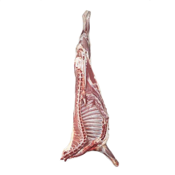 گوشت‌ خرده بره