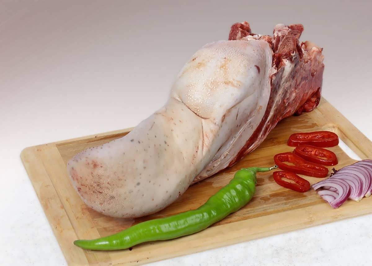 زبان گوساله